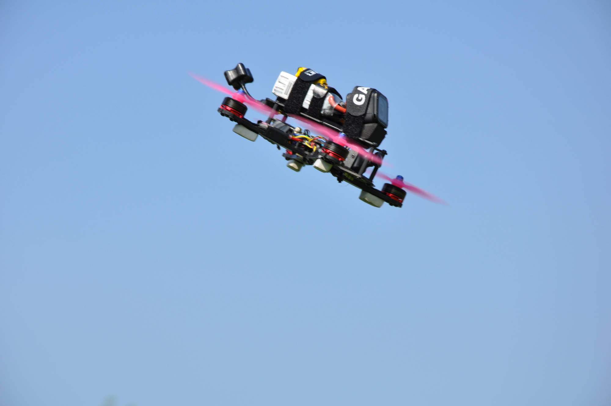 Then they flew