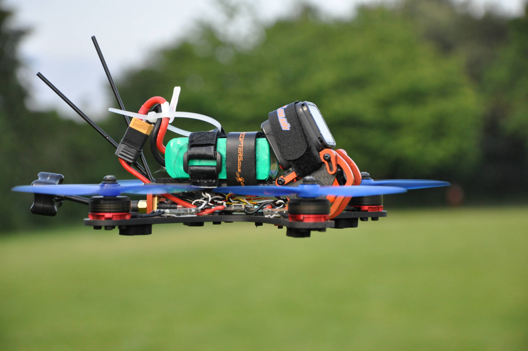 Chameleon 5 inch in the air